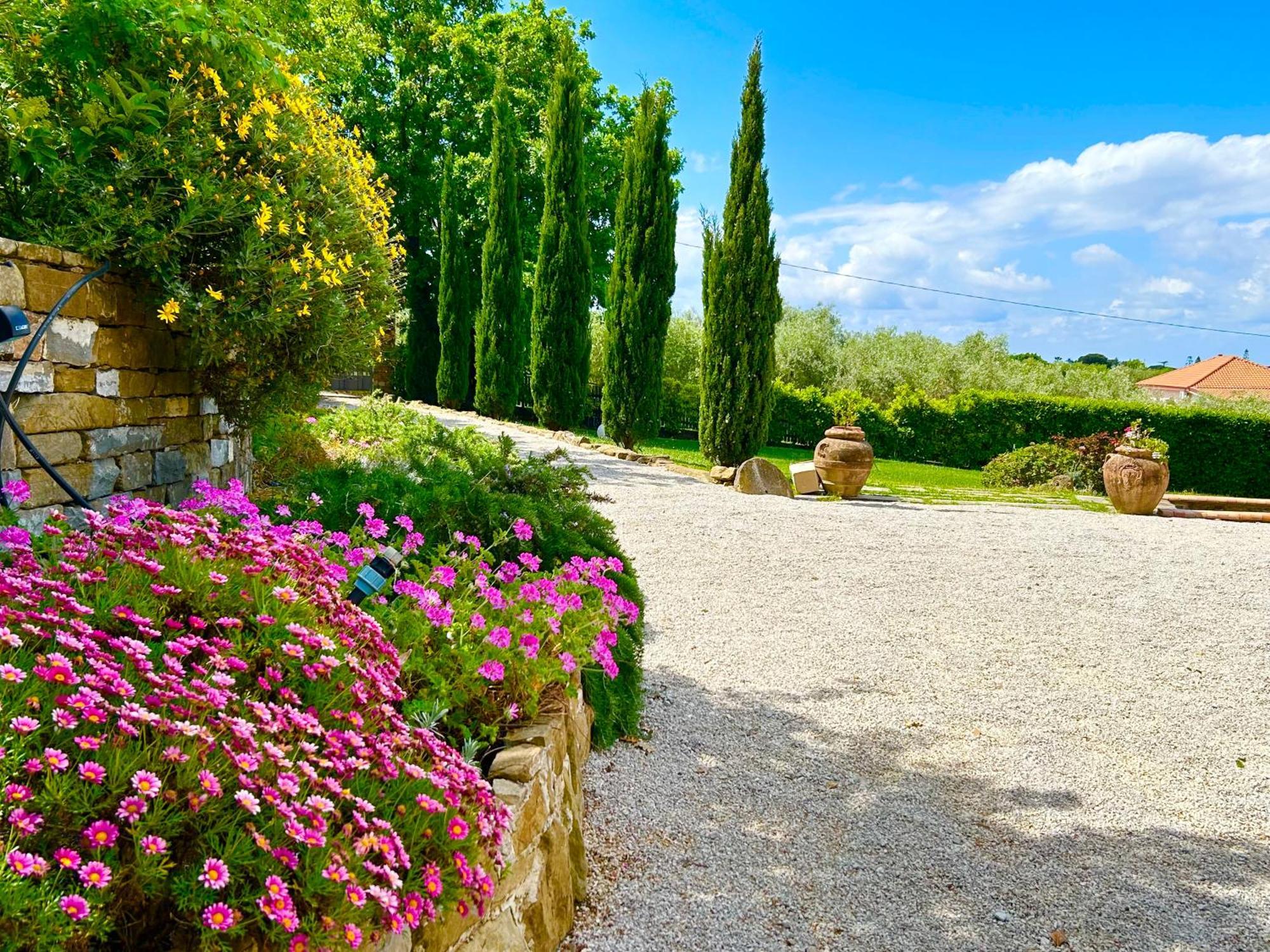 Casale Il Sauco Villa Santa Maria di Castellabate Rum bild